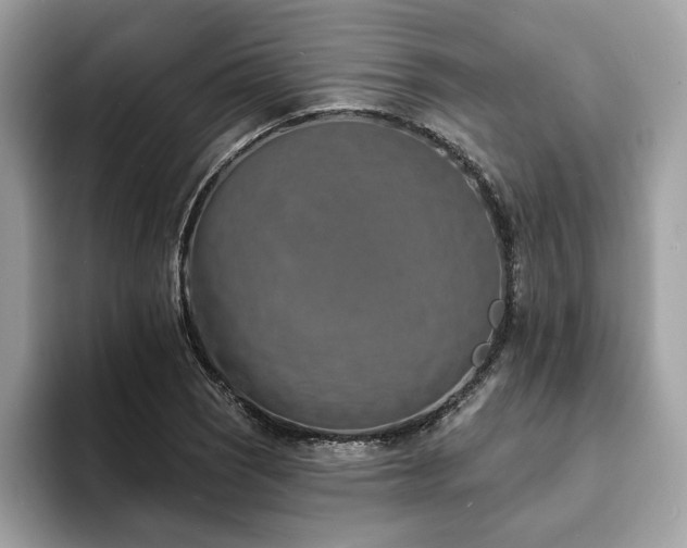 X0000094071121200710191114