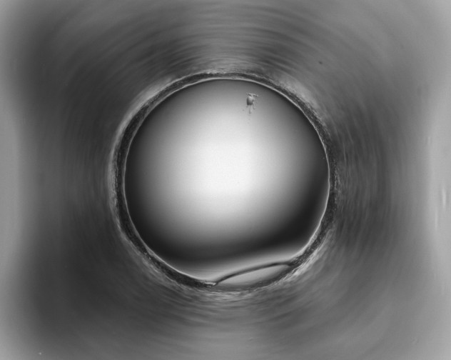 X0000094071122200710191115