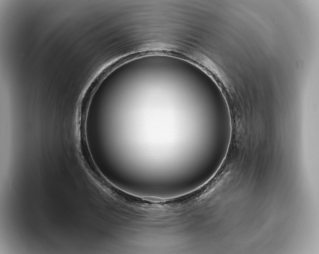 X0000094071124200710191115