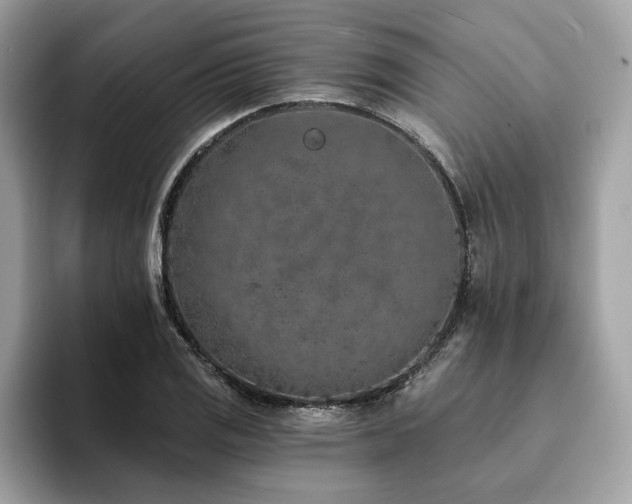 X0000094071125200710191115