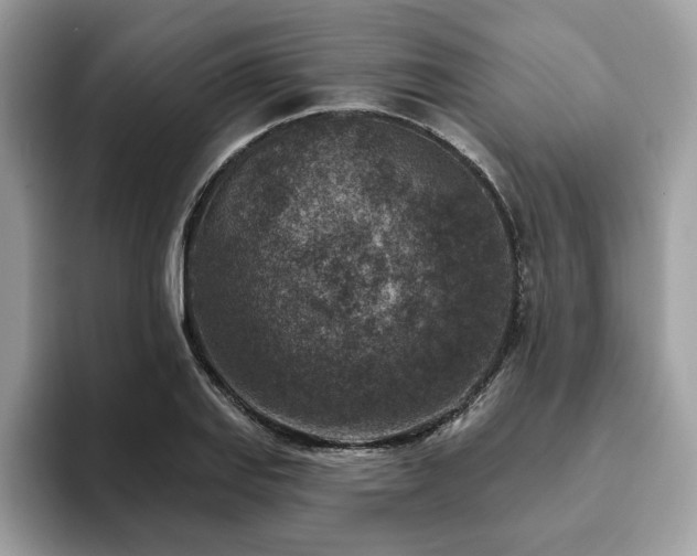 X0000094071127200710191115