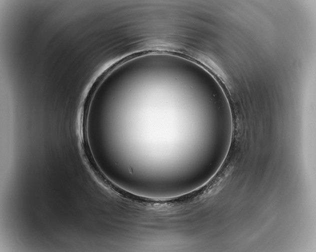 X0000094071128200710191115