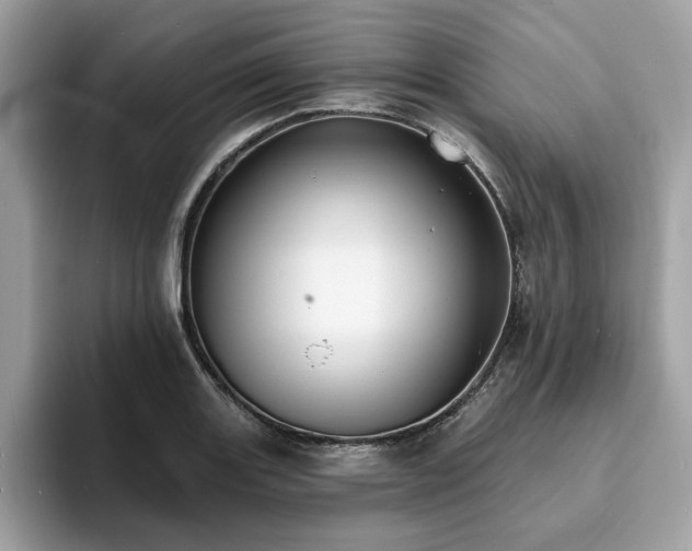 X0000094071131200710191115