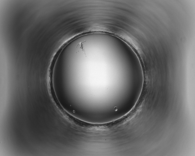 X0000094071133200710191115