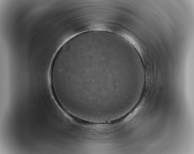 X0000094071141200710191115