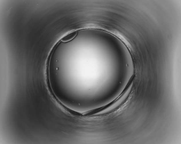X0000094071142200710191115