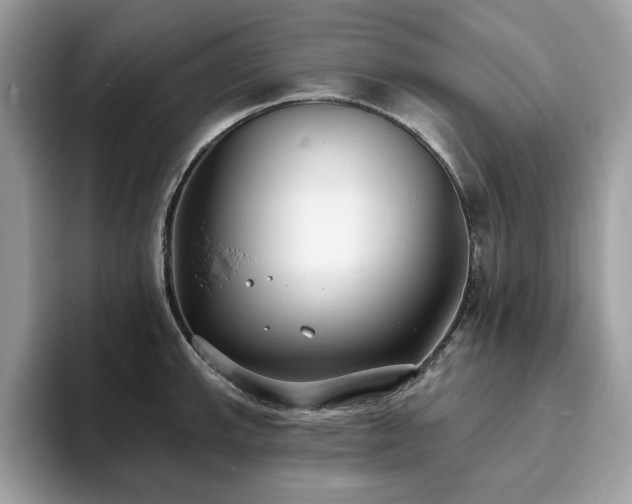 X0000094071143200710191115