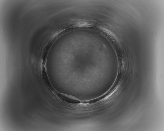 X0000094071161200710191114