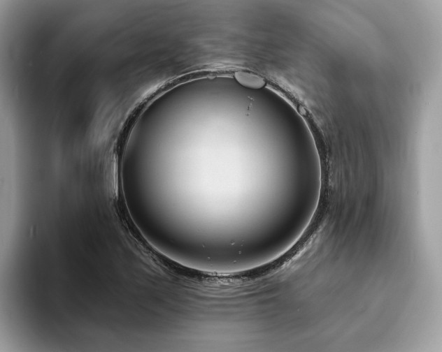 X0000094071171200710191114