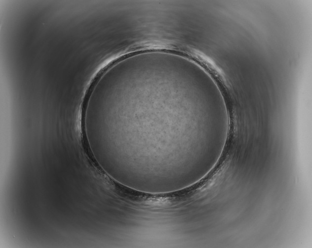 X0000094071174200710191114