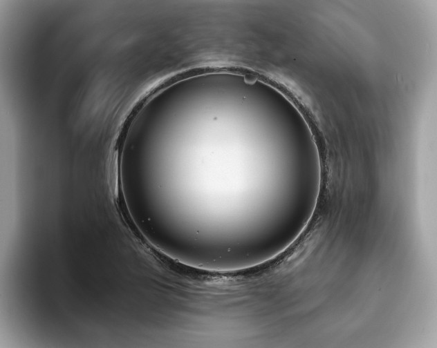 X0000094071175200710191114