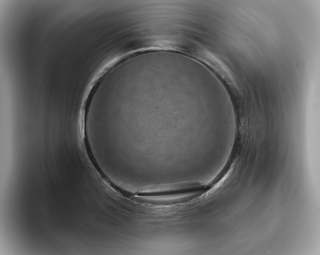 X0000094071180200710191114