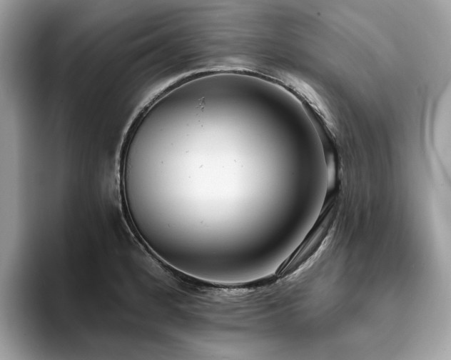 X0000094071184200710191114