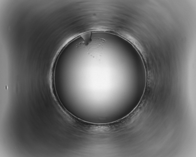 X0000094071187200710191114