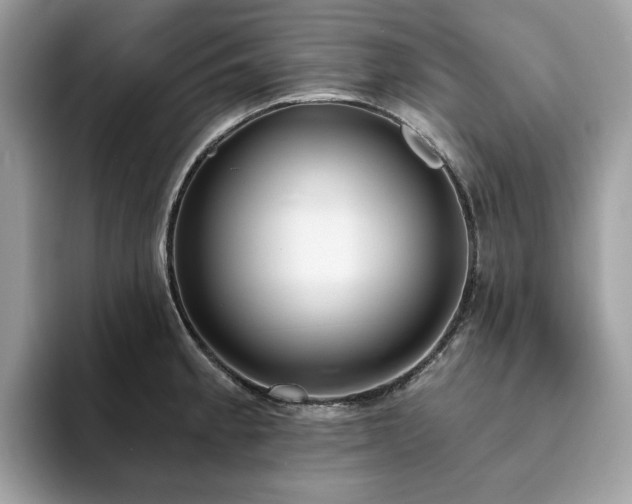 X0000094071189200710191114