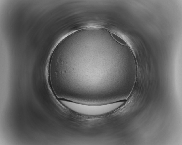 X0000094071195200710191114