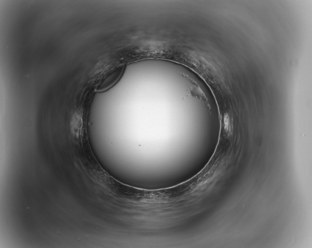 X0000094071203200710191113