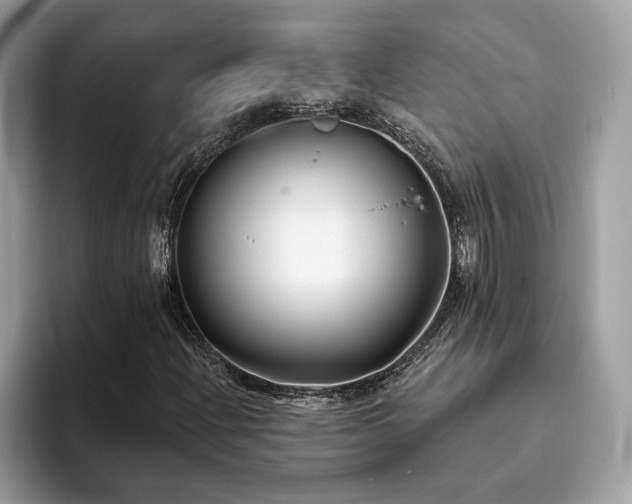 X0000094071204200710191113