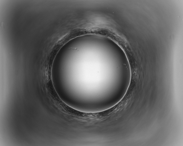 X0000094071205200710191113