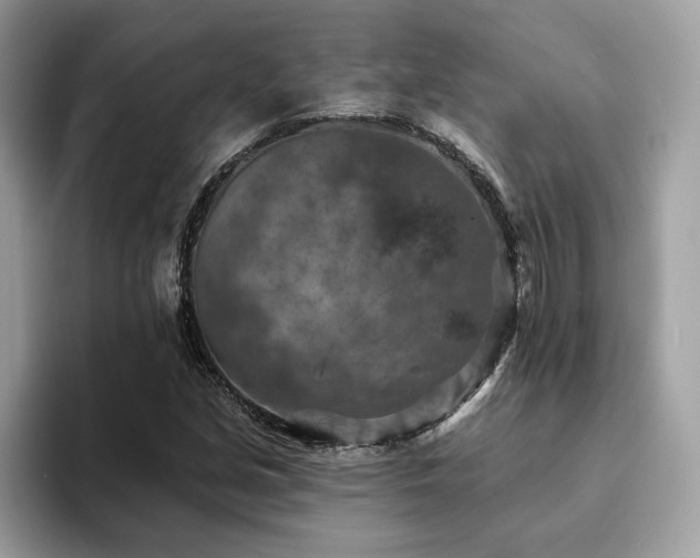 X0000094071213200710191113