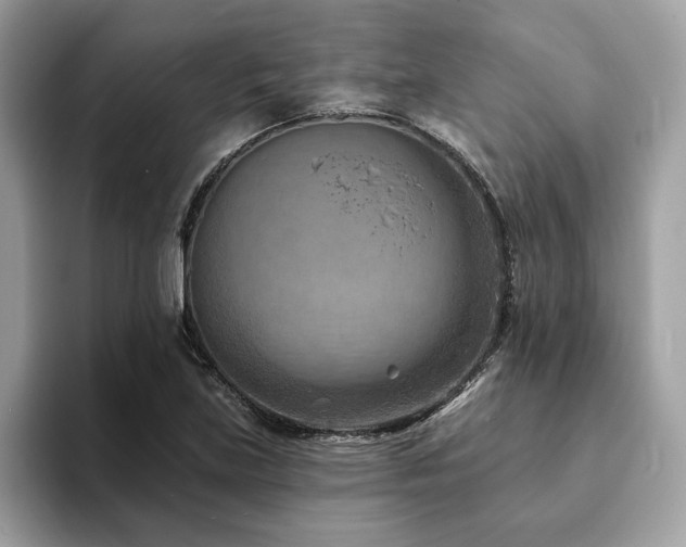 X0000094071219200710191113