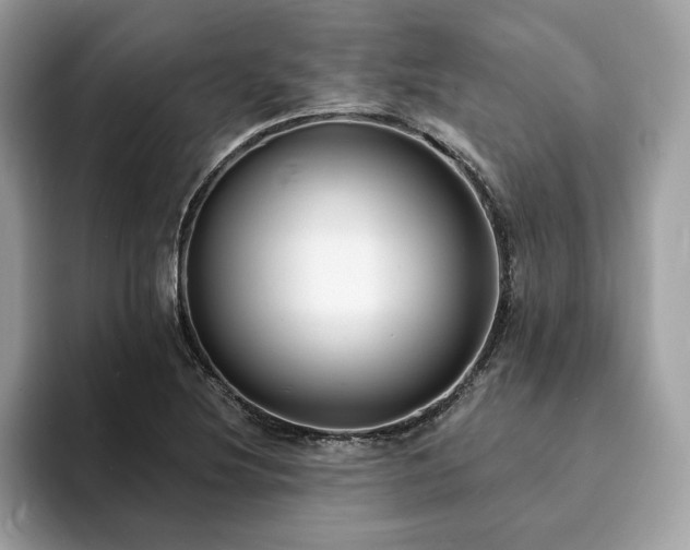 X0000094071220200710191113