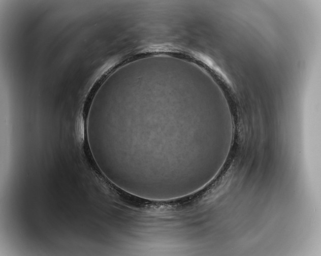 X0000094071221200710191113