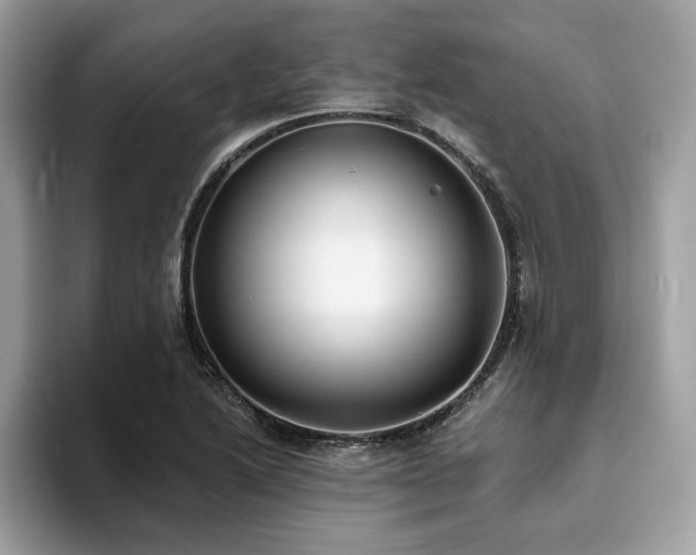 X0000094071222200710191113