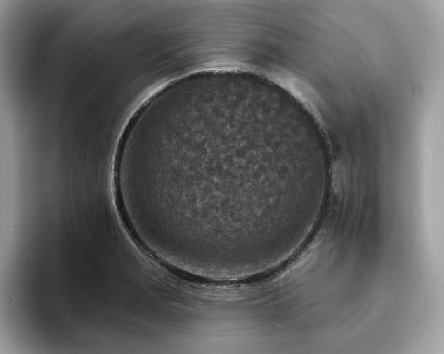 X0000094071229200710191114