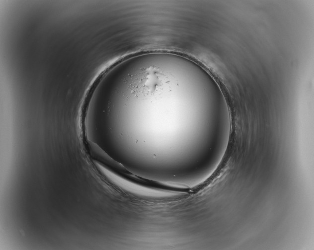 X0000094071230200710191114