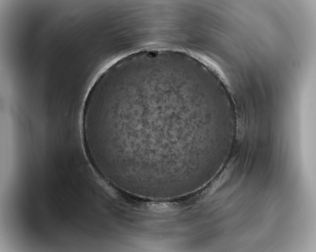 X0000094071231200710191114