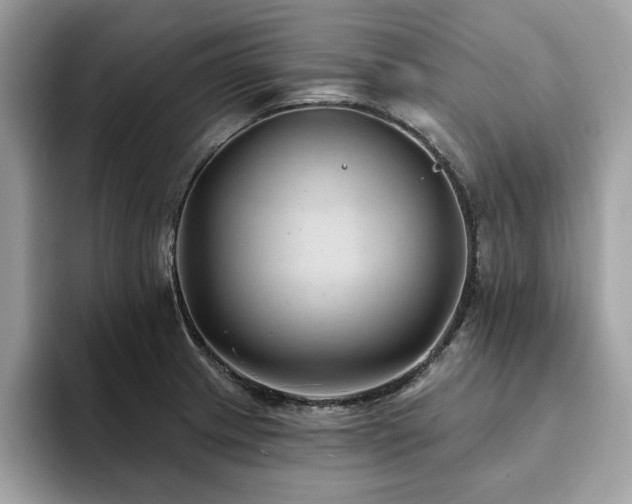 X0000094071233200710191114