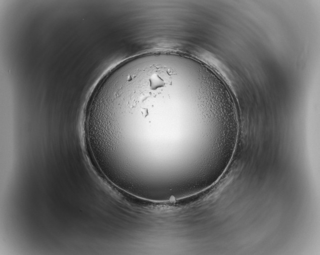 X0000094071235200710191114