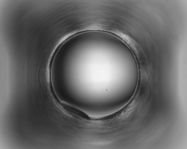 X0000094071238200710191114