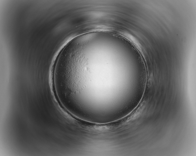 X0000094071243200710191114