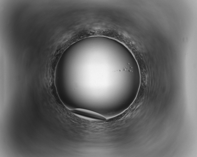 X0000094071253200710191113