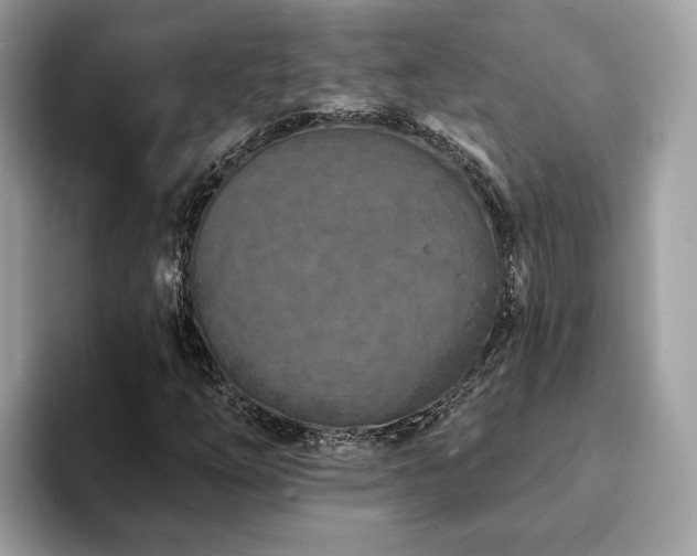 X0000094071254200710191113