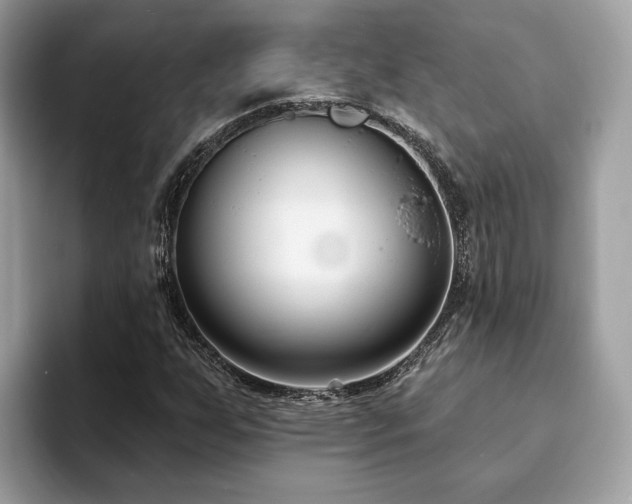 X0000094071255200710191113