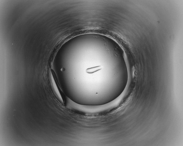 X0000094071257200710191113