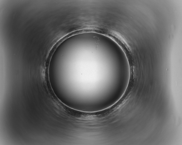 X0000094071260200710191113