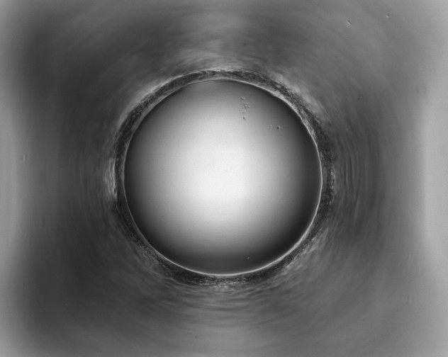 X0000094071262200710191113