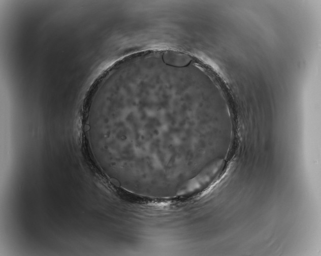 X0000094071263200710191113