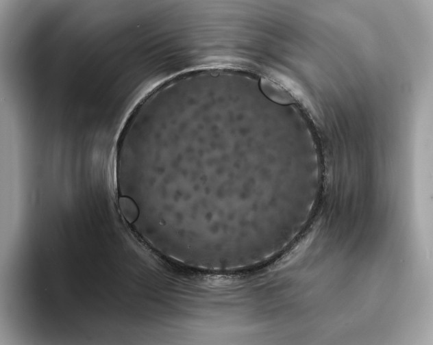 X0000094071275200710191113