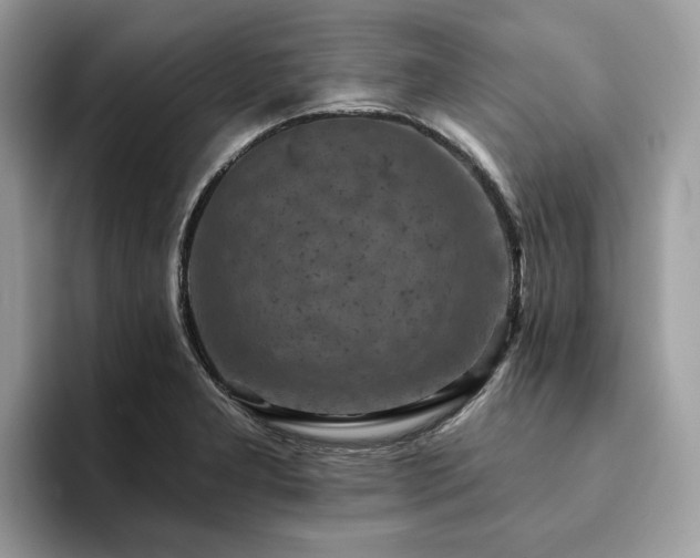 X0000094071277200710191113