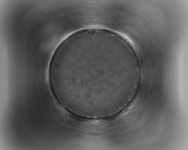 X0000094071279200710191113