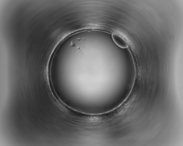 X0000094071283200710191113