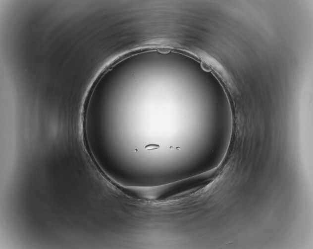 X0000094071288200710191113