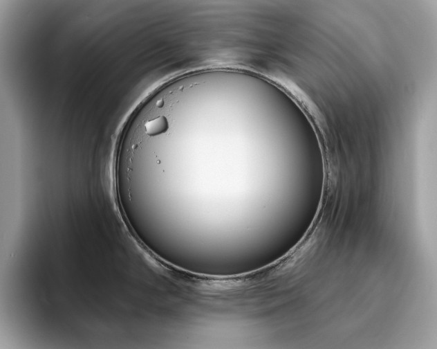 X0000094071294200710191113