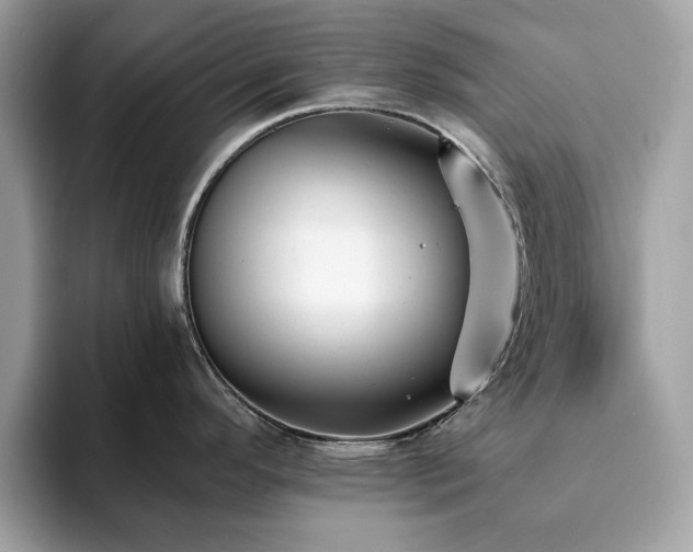 X0000094071296200710191113