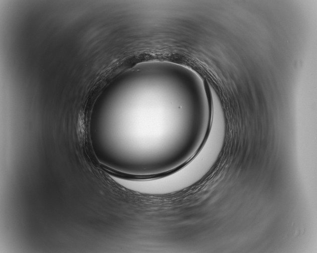 X0000094071298200710191112